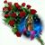 Rosi Hernandez's profile image