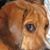 Greg N Theresa Wolf's profile image