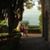 Deb Wilmot's profile image