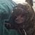 Hector V Lopez's profile image