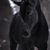 Teri Hesselgesser-Schon's profile image