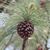 Kimberley Driesbach Adcox's profile image