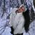 Josephine Yaba Camarillo's profile image