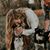 Allie Shupe Williams's profile image