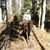 Josh Neurath's profile image