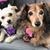 Karyn LeBlanc Trantham's profile image