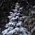 Connie Herrick's profile image