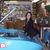 Nacy Canales's profile image