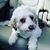 Dawn Neri Kelly's profile image