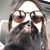 Noelia Torres's profile image