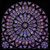 Chip Byas-Ortega's profile image