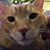 Bruce Hewes's profile image