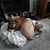 Mary Anne Dunlap's profile image