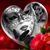 Traci Webster's profile image