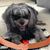 Bonnie Michell Jones's profile image
