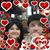 Patty Santora Sangermano's profile image