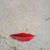 Debbie Rippey Kalcich's profile image