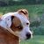 Laura K. McCarter's profile image