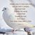 Savina Nelson's profile image