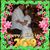 Yolanda Copus Maly's profile image