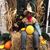 Donna Devaney Bastedo's profile image