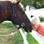 Gloria Kearney's profile image