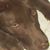 Sandra Berrier's profile image