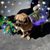 Louise Snodgrass's profile image