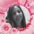 Guadalupe Torres's profile image