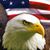 Robert Wilbur's profile image