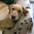 Sandy Young's profile image
