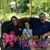 Brenda Mullin's profile image