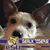 Chip Kendall's profile image