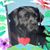 Cindy King's profile image