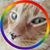 Sheri Vecchio's profile image