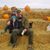 Kurt Mueller's profile image