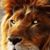 Marion Ware's profile image