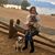 Susan Kennedy Fiolka's profile image