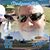 Evaristo Cota's profile image