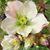 Linda Durrant Parco's profile image