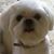 Ethel Holland Richardson's profile image