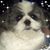 Deb Oswald's profile image