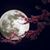 Lynngiang Le's profile image