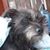 Kelly Solomon's profile image