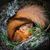 Derrick Weston's profile image