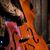 John Worthington's profile image