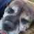 Missy Whitaker's profile image