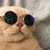 Manar Nasser's profile image