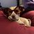 Steven Ettinger's profile image