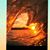Elizabeth Niner Gentry's profile image